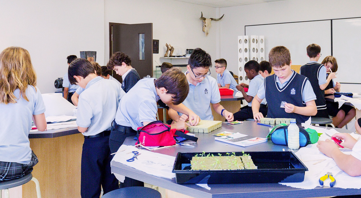 Secondaire - Campus - Installations scientifiques [05]