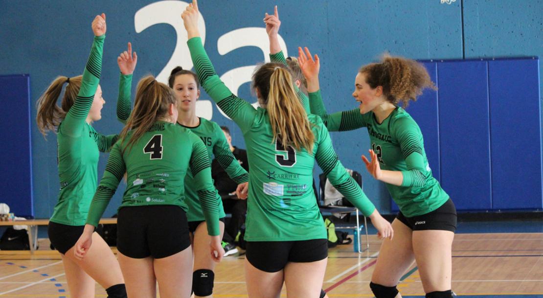 volly1.jpg
